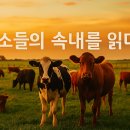 신호목장 이미지