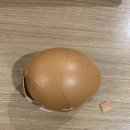 1🥚🥚일 기념 에그 브레이킹 세레모니 (ft. 18번의 자해) 이미지