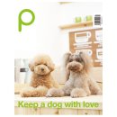 P-5328 | 월간애견잡지 [매거진P]12월호 당첨자 명단