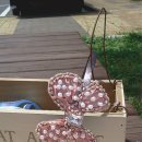 푸른숲어린이집 이미지