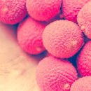 백록담한의원 이미지