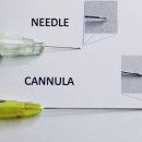 벤자민피부과의원 | 레디어스 콜라겐주사 피부과 전문의 후기?