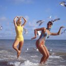 원남시장 | &lt;웨딩 베뉴 투어&gt; 남산예술원,원남교당웨딩,아펠가모공덕