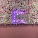 엔젤스코인노래연습장 교대점 이미지