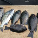 월항민박 이미지