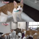 강무농장 이미지