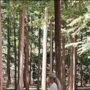 ㈜명상여행사 이미지