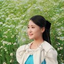 군민의날 공연 이미지