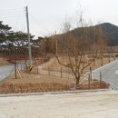 승봉도_캠핑장 이미지