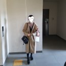 11월 원예: 빼빼로 드라이플라워와 꽃케이크 | 2020년 11월 출근룩, 7도옷차림, 에리카mbti