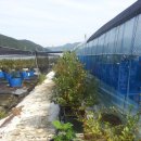 참살이농장 이미지