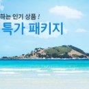 하얀풍차투어