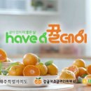 감귤PC 이미지