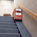 개편한 세상 이미지