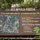 금강솔바람길 이미지