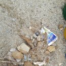 서선초등학교 이미지