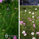 하동레일파크 이미지