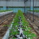 동안농장 이미지