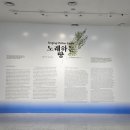 노래하는 땅 이미지