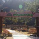 공작산생태숲 이미지