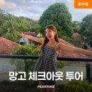 망고 스테이 이미지