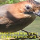 라나엄마