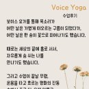구름송이 | 보이스요가 수업후기 - 소리가 가볍게 떠오르는 구름이었다가, 한 송이 꽃으로 피어나는 경험