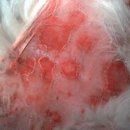 정동물약국 이미지