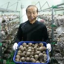 정학농장 이미지