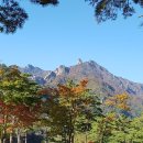 일출봉활어회집 - 속초시 대포항희망1길 48 | 일출봉활어회집