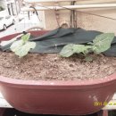 대풍농장 이미지