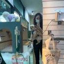 허니스티 펫 베이커리 이미지