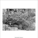 정릉4동경로당 이미지