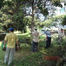 대천동-6 이미지