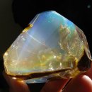 빛나는 바다 이미지