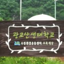 광교산생태학교 이미지