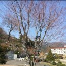 덕유산 뜰 펜션 | 무주 덕유산 펜션 꿈꾸는 나무별 수영장 계곡이 있어 물놀이하기 좋은 무주 가족펜션 후기