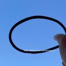 운동화2500 | 호주 시드니 울릉공 스카이다이빙 추천 가격, 예약 방법, 번지점프랑 비교 내돈내산 후기