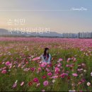 억만목장 | 전남 '2023 순천만국제정원박람회' 순천만국가정원 여행 - 주차장, 입장료, 기간, 개화 상황, 솔직후기