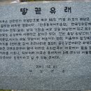 사자봉민박 | 0099 땅끝 사자봉 156.2m 달마산 489m 해남2004. 8. 21 ~ 22 토.일요일 비