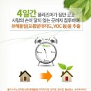 플러스미 Daum카페