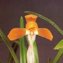 (주)금화 이미지