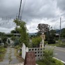 우리집장터 | 구례&하동 가족여행｜메종 드 하동 (쌍계사 근처, 왜 우리집 앞에 없어요? ) 내돈내산, 솔직후기