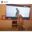 (주) 해미 이미지