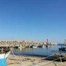 선미횟집 이미지