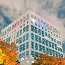 완월동171 이미지