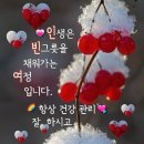 초막 이미지