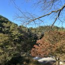 지리산구룡호텔 이미지