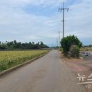 상모리-3 이미지