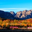 캠퍼스탑 이미지